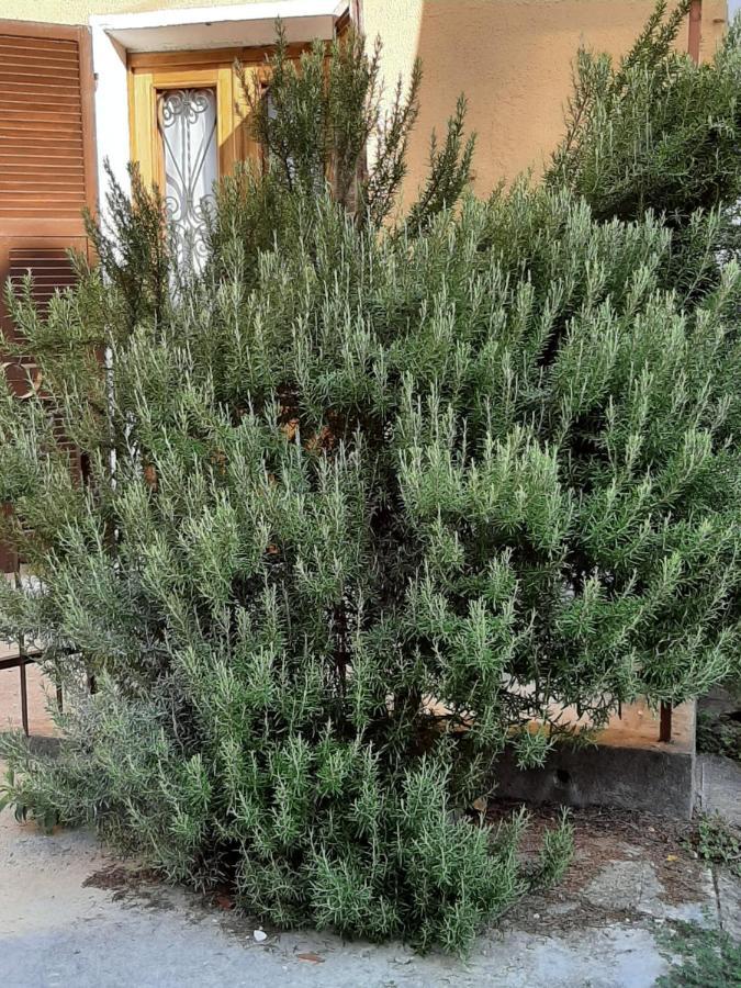 Il Rosmarino Villa Fresonara  Екстериор снимка